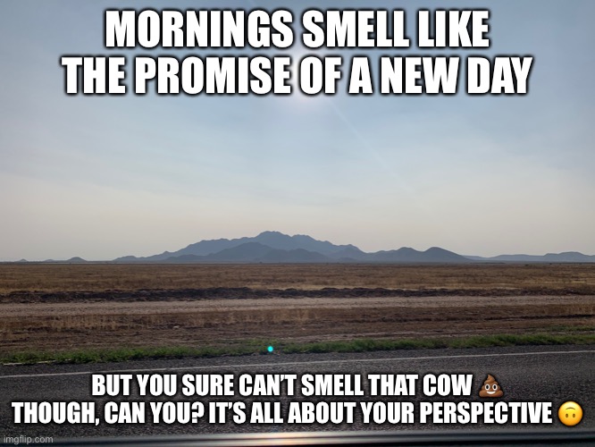 Good morning | MORNINGS SMELL LIKE THE PROMISE OF A NEW DAY; BUT YOU SURE CAN’T SMELL THAT COW 💩 THOUGH, CAN YOU? IT’S ALL ABOUT YOUR PERSPECTIVE 🙃 | image tagged in good morning,funny memes,poop,perspective | made w/ Imgflip meme maker