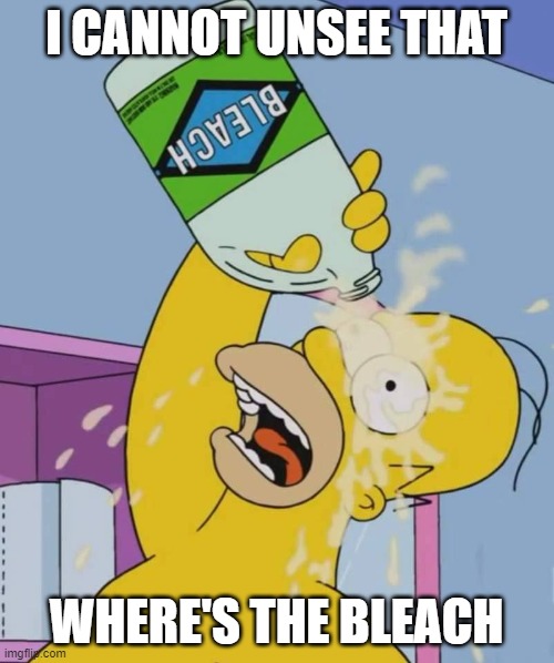 Homer with bleach | I CANNOT UNSEE THAT; WHERE'S THE BLEACH | image tagged in homer with bleach | made w/ Imgflip meme maker