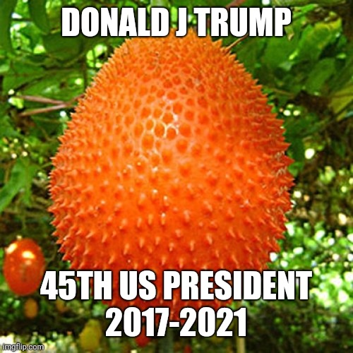 Ugli fruit | DONALD J TRUMP; 45TH US PRESIDENT
2017-2021 | image tagged in donald trump | made w/ Imgflip meme maker