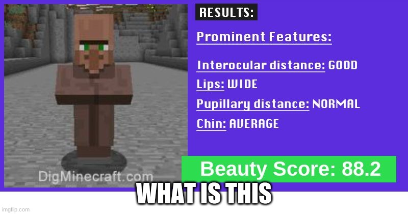 WHAT IS THIS!!! | WHAT IS THIS | image tagged in minecraft | made w/ Imgflip meme maker