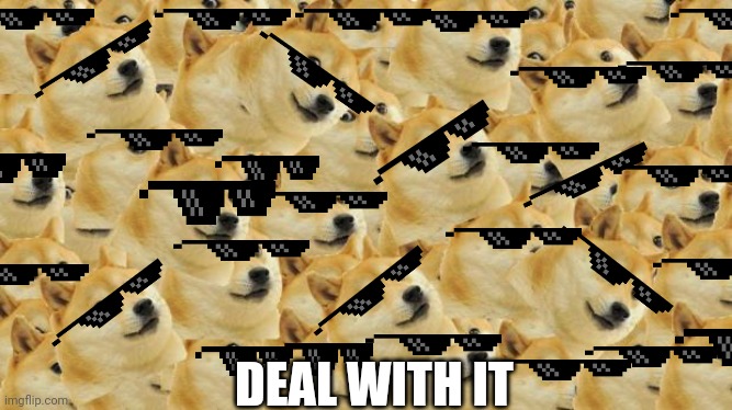 doge life | DEAL WITH IT | image tagged in memes,multi doge | made w/ Imgflip meme maker
