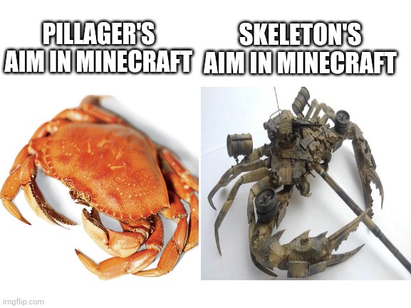 Geez Skeletons have some good aiming at players. | SKELETON'S AIM IN MINECRAFT; PILLAGER'S AIM IN MINECRAFT | image tagged in minecraft,skeleton,video games,relatable,crab | made w/ Imgflip meme maker