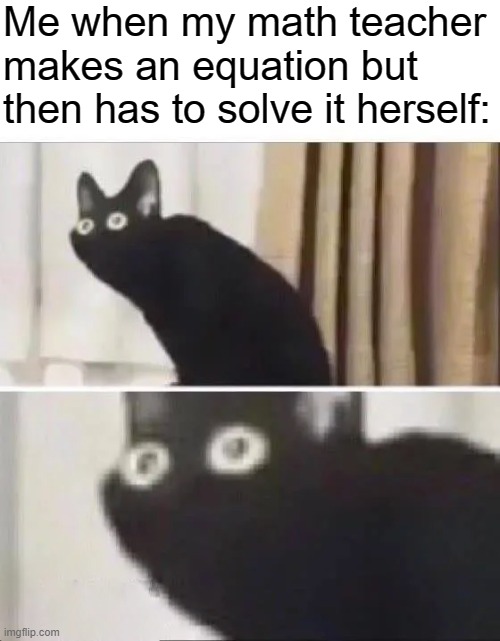 Oh No Black Cat | Me when my math teacher makes an equation but then has to solve it herself: | image tagged in oh no black cat,math,equation,cats,memes,funny | made w/ Imgflip meme maker