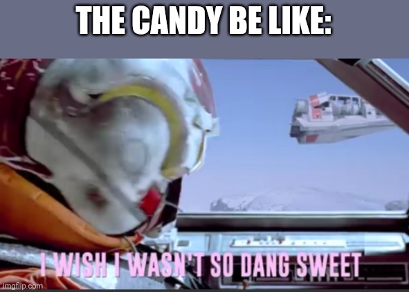 I wish I wasn't so dang sweet | THE CANDY BE LIKE: | image tagged in i wish i wasn't so dang sweet | made w/ Imgflip meme maker