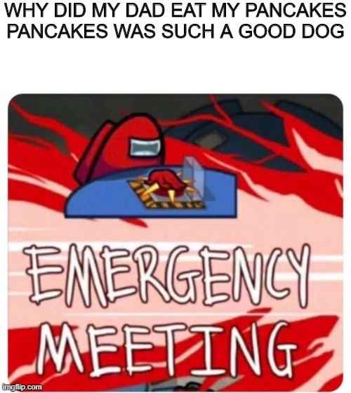 hold up | WHY DID MY DAD EAT MY PANCAKES

PANCAKES WAS SUCH A GOOD DOG | image tagged in emergency meeting among us,cursed | made w/ Imgflip meme maker