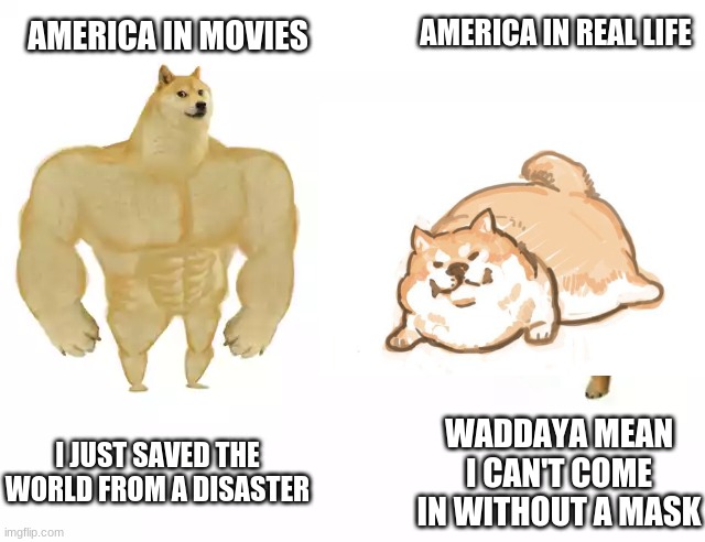 As an American myself I can assure this is partially true | AMERICA IN REAL LIFE; AMERICA IN MOVIES; I JUST SAVED THE WORLD FROM A DISASTER; WADDAYA MEAN I CAN'T COME IN WITHOUT A MASK | image tagged in america,buff doge vs cheems,face mask | made w/ Imgflip meme maker