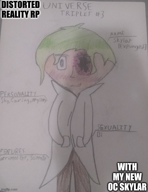 DISTORTED REALITY RP; WITH MY NEW OC SKYLAR | made w/ Imgflip meme maker