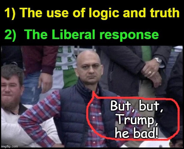 No solutions, only hate | 1) The use of logic and truth; 2)  The Liberal response; But, but,
Trump, he bad! | image tagged in liberals,liberal logic,trump 2020,joe biden,election 2020 | made w/ Imgflip meme maker