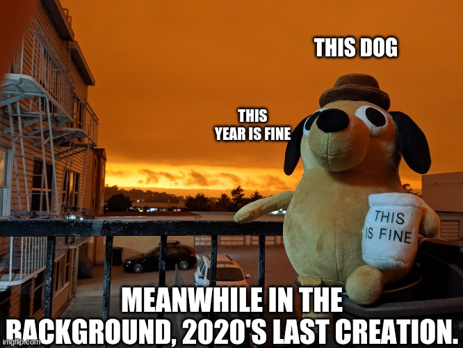 2020 is fin | THIS DOG; THIS YEAR IS FINE; MEANWHILE IN THE BACKGROUND, 2020'S LAST CREATION. | image tagged in 2020,wildfires,california,this is fine | made w/ Imgflip meme maker