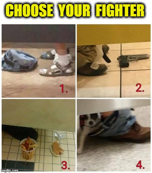 Which one would you choose as your fighter? | CHOOSE  YOUR  FIGHTER | image tagged in bathroom stall,fighter,tough,best,gaming,meme | made w/ Imgflip meme maker