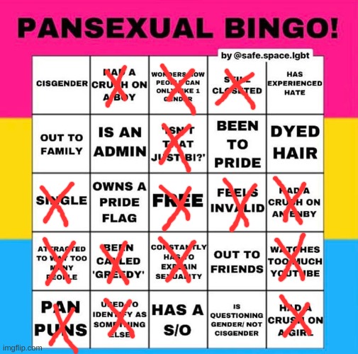 Pansexual Bingo | image tagged in pansexual,bingo | made w/ Imgflip meme maker