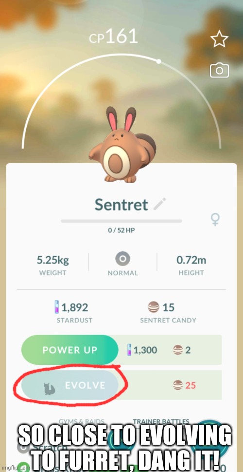 SO CLOSE TO EVOLVING TO FURRET, DANG IT! | made w/ Imgflip meme maker