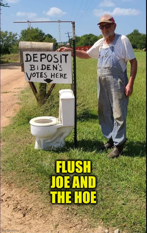 Joe Biden | FLUSH JOE AND THE HOE | image tagged in joe biden,kamala harris,2020 elections,memes | made w/ Imgflip meme maker