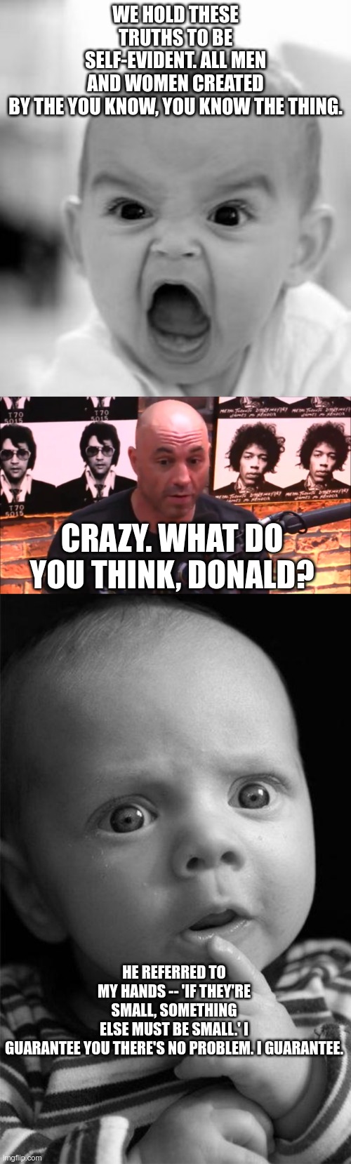 Presidential Debate | WE HOLD THESE TRUTHS TO BE SELF-EVIDENT. ALL MEN AND WOMEN CREATED BY THE YOU KNOW, YOU KNOW THE THING. CRAZY. WHAT DO YOU THINK, DONALD? HE REFERRED TO MY HANDS -- 'IF THEY'RE SMALL, SOMETHING ELSE MUST BE SMALL.' I GUARANTEE YOU THERE'S NO PROBLEM. I GUARANTEE. | image tagged in joe rogan jre,donald trump,joe biden | made w/ Imgflip meme maker
