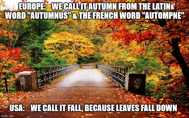 Autumn bridge | EUROPE:    WE CALL IT AUTUMN FROM THE LATIN
WORD "AUTUMNUS" & THE FRENCH WORD "AUTOMPNE" USA:    WE CALL IT FALL, BECAUSE LEAVES FALL DOWN | image tagged in autumn bridge | made w/ Imgflip meme maker