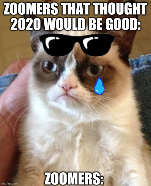 Zoomers | ZOOMERS THAT THOUGHT 2020 WOULD BE GOOD:; ZOOMERS: | image tagged in memes,grumpy cat,cats | made w/ Imgflip meme maker