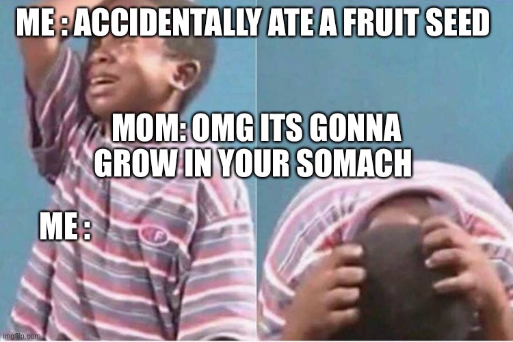 Us 7 year olds | ME : ACCIDENTALLY ATE A FRUIT SEED; MOM: OMG ITS GONNA GROW IN YOUR SOMACH; ME : | image tagged in crying kid,mom,oh wow are you actually reading these tags | made w/ Imgflip meme maker