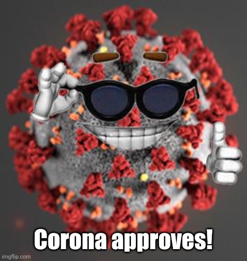 Coronavirus | Corona approves! | image tagged in coronavirus | made w/ Imgflip meme maker
