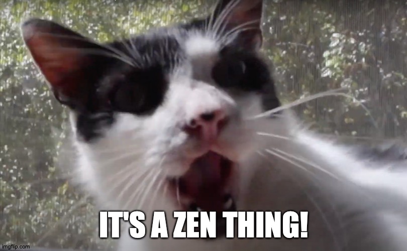 IT'S A ZEN THING! | made w/ Imgflip meme maker