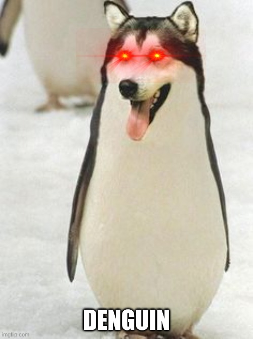 upvote.. LOL | DENGUIN | image tagged in dog,penguin | made w/ Imgflip meme maker