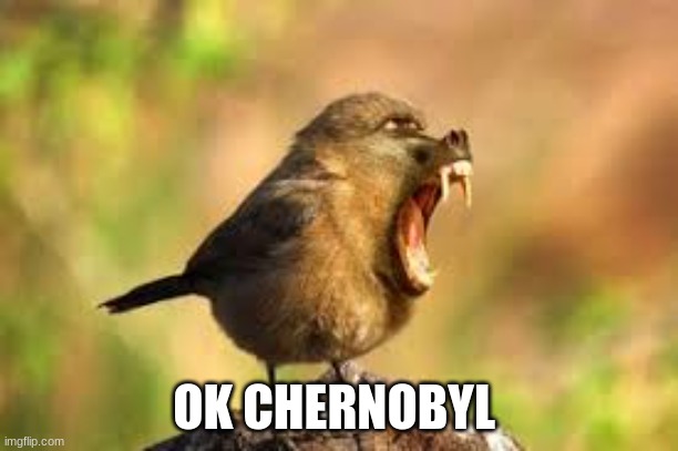 OK CHERNOBYL | image tagged in chernobyl,bird | made w/ Imgflip meme maker