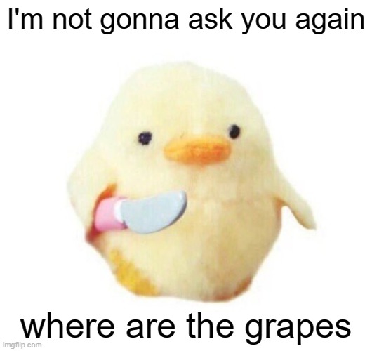 Duck with knife | I'm not gonna ask you again; where are the grapes | image tagged in duck with knife,duck,ducks | made w/ Imgflip meme maker