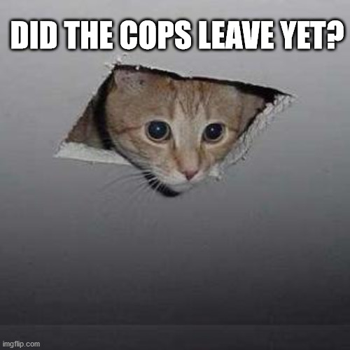 Ceiling Cat Meme | DID THE COPS LEAVE YET? | image tagged in memes,ceiling cat | made w/ Imgflip meme maker