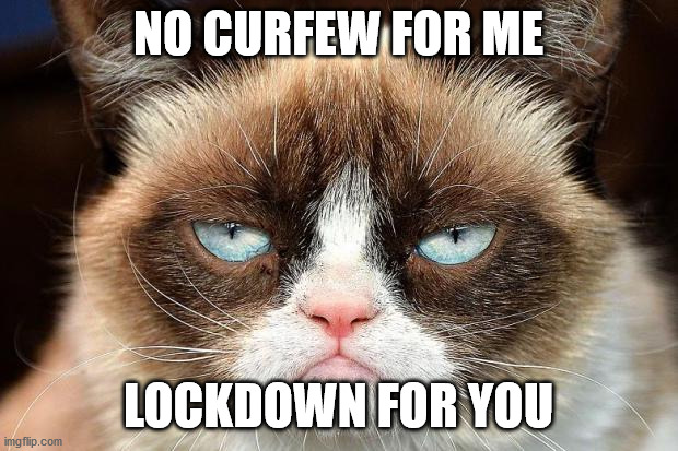 Grumpy Cat Not Amused | NO CURFEW FOR ME; LOCKDOWN FOR YOU | image tagged in memes,grumpy cat not amused,grumpy cat | made w/ Imgflip meme maker