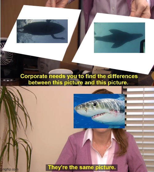 Shark pov | image tagged in memes,they're the same picture | made w/ Imgflip meme maker