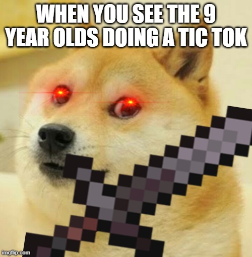 WHEN YOU SEE THE 9 YEAR OLDS DOING A TIC TOK | image tagged in minecraft,doge | made w/ Imgflip meme maker