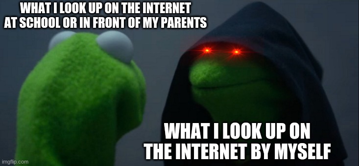 Evil Kermit | WHAT I LOOK UP ON THE INTERNET AT SCHOOL OR IN FRONT OF MY PARENTS; WHAT I LOOK UP ON THE INTERNET BY MYSELF | image tagged in memes,evil kermit | made w/ Imgflip meme maker