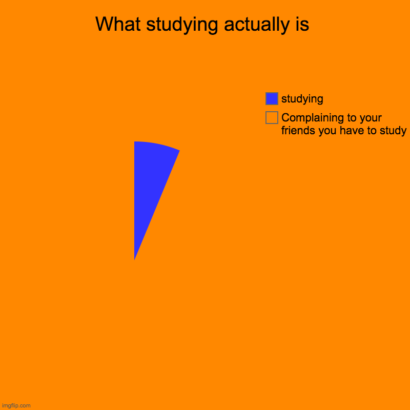 What Studying actually is | What studying actually is | Complaining to your friends you have to study, studying | image tagged in charts,pie charts | made w/ Imgflip chart maker