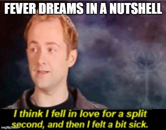 I think I fell in love for a split second | FEVER DREAMS IN A NUTSHELL | image tagged in i think i fell in love for a split second | made w/ Imgflip meme maker
