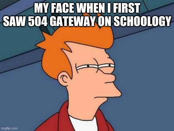 schoology |  MY FACE WHEN I FIRST SAW 504 GATEWAY ON SCHOOLOGY | image tagged in memes,futurama fry | made w/ Imgflip meme maker