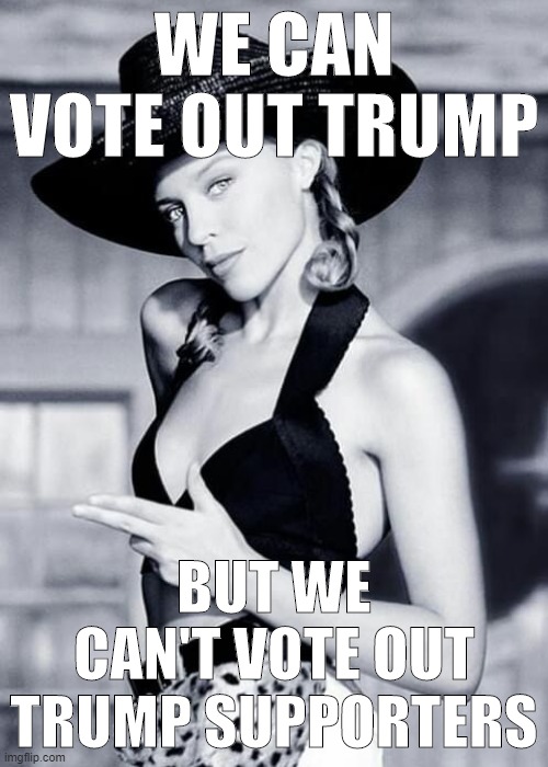 Whatever happens in Nov., his supporters and their nonsense are here to stay as long as it provides them a sense of community. | WE CAN VOTE OUT TRUMP; BUT WE CAN'T VOTE OUT TRUMP SUPPORTERS | image tagged in kylie cowgirl,trump supporters,trump supporter,election 2020,america,donald trump | made w/ Imgflip meme maker