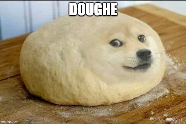 dough doge | DOUGHE | image tagged in dough doge | made w/ Imgflip meme maker