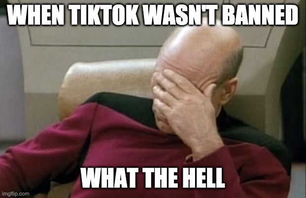Simple Facepalm 2 | WHEN TIKTOK WASN'T BANNED; WHAT THE HELL | image tagged in memes,captain picard facepalm | made w/ Imgflip meme maker