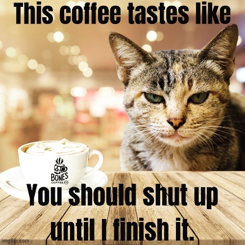 lol don't mess with cats before breakfast (repost) | image tagged in coffee,coffee addict,cats,grumpy cat,grumpy cats,repost | made w/ Imgflip meme maker