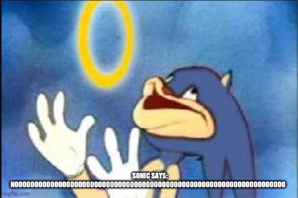 Sonic derp | SONIC SAYS: NOOOOOOOOOOOOOOOOOOOOOOOOOOOOOOOOOOOOOOOOOOOOOOOOOOOOOOOOOOOOOOOOOOOO | image tagged in sonic derp | made w/ Imgflip meme maker