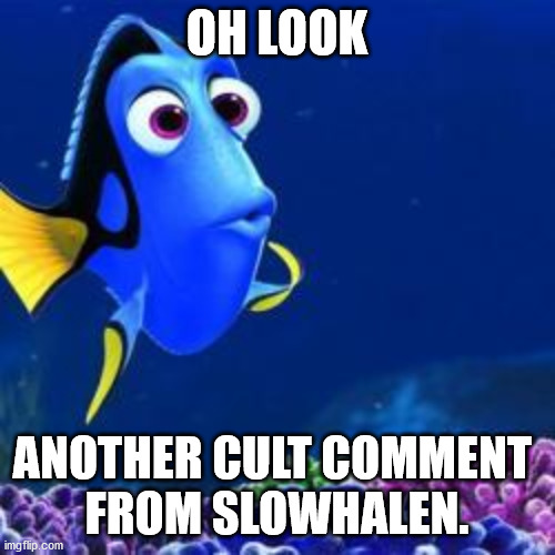 oh look | OH LOOK ANOTHER CULT COMMENT 
FROM SLOWHALEN. | image tagged in oh look | made w/ Imgflip meme maker