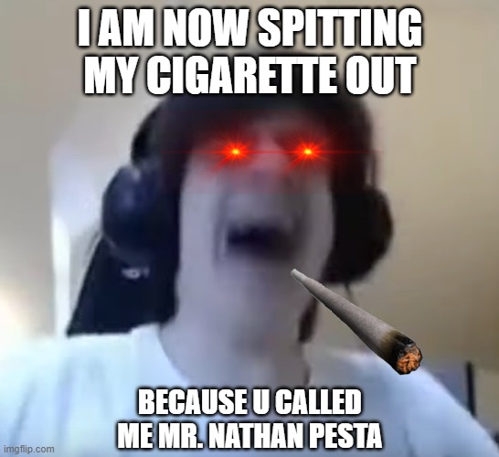 npesta crying | I AM NOW SPITTING MY CIGARETTE OUT; BECAUSE U CALLED ME MR. NATHAN PESTA | image tagged in npesta crying | made w/ Imgflip meme maker