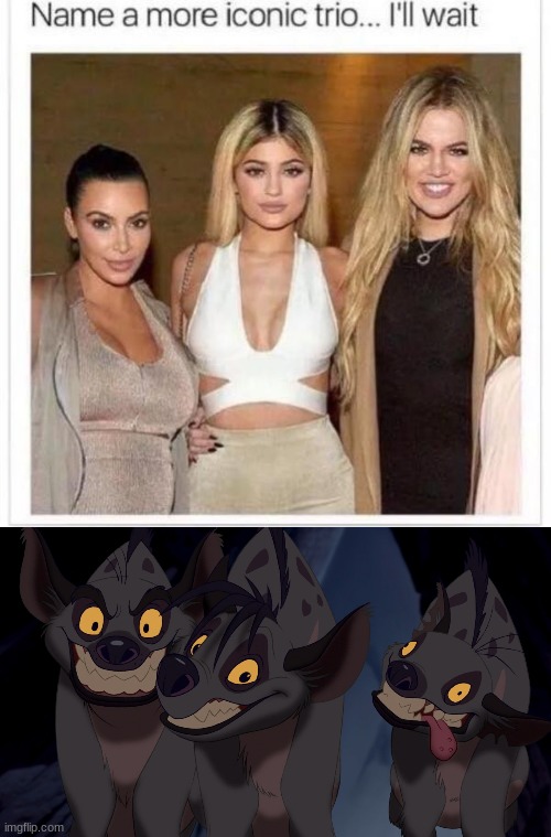 hyenas | image tagged in name a more iconic trio | made w/ Imgflip meme maker