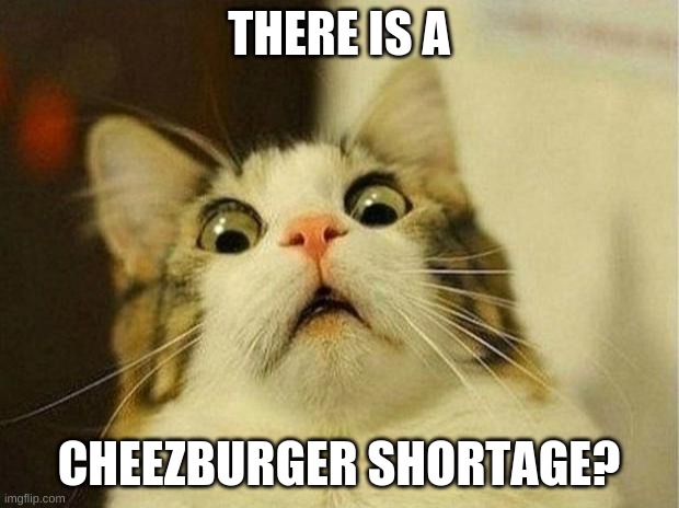 CHEEZBURGER SHORTAGE??? | THERE IS A; CHEEZBURGER SHORTAGE? | image tagged in memes,scared cat,i can has cheezburger cat,cheezburgers,cat | made w/ Imgflip meme maker