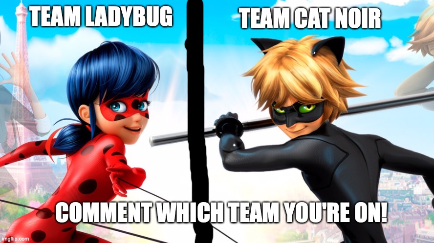 Team Ladybug or Team Cat Noir? | TEAM CAT NOIR; TEAM LADYBUG; COMMENT WHICH TEAM YOU'RE ON! | image tagged in miraculous ladybug,team,choose wisely | made w/ Imgflip meme maker