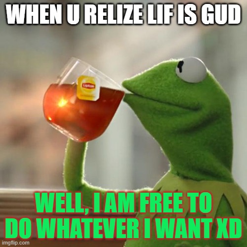 Partial repeat of original meme I Posted | WHEN U RELIZE LIF IS GUD; WELL, I AM FREE TO DO WHATEVER I WANT XD | image tagged in memes,but that's none of my business,kermit the frog | made w/ Imgflip meme maker