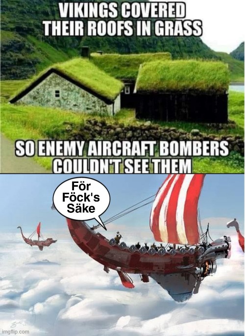 for fock's sake indeed (repost) | image tagged in repost,reposts are awesome,vikings,viking,lol so funny,lol | made w/ Imgflip meme maker