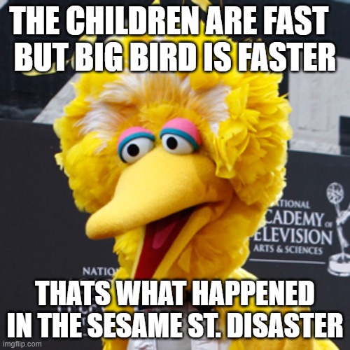 Big Bird | THE CHILDREN ARE FAST  
BUT BIG BIRD IS FASTER; THATS WHAT HAPPENED IN THE SESAME ST. DISASTER | image tagged in memes,big bird | made w/ Imgflip meme maker