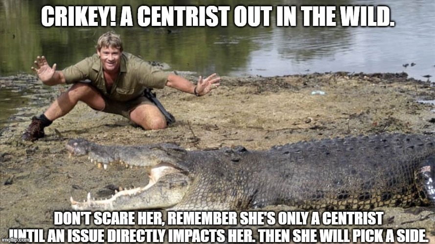 meanwhile in australia this meme is  based (repost) | image tagged in politics,steve irwin,steve irwin crocodile hunter,meanwhile in australia,repost,reposts | made w/ Imgflip meme maker