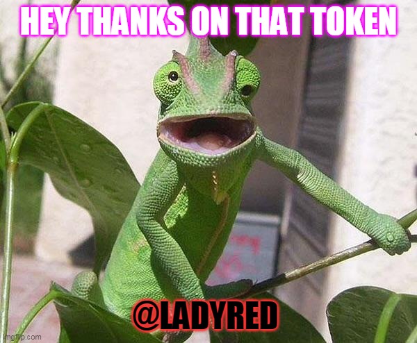Crazy Chameleon | HEY THANKS ON THAT TOKEN; @LADYRED | image tagged in crazy chameleon | made w/ Imgflip meme maker