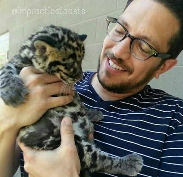 High Quality Sal With A Kitten Blank Meme Template